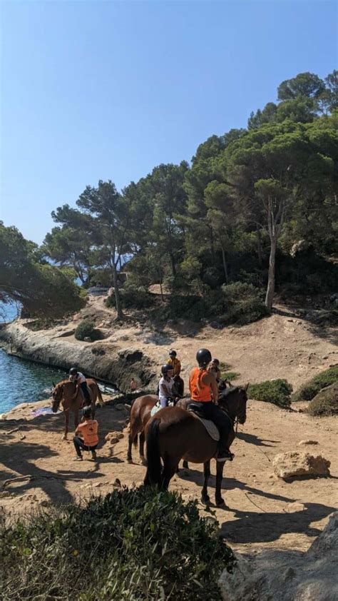 Cheval Minorque Balades Excursions Toutes Les Infos Pratiques