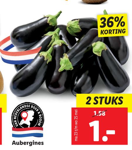 Aubergine Folder Aanbieding Bij Lidl Details