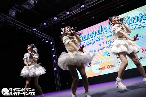 Siamdream Espresso Siamdol Winter Super Live