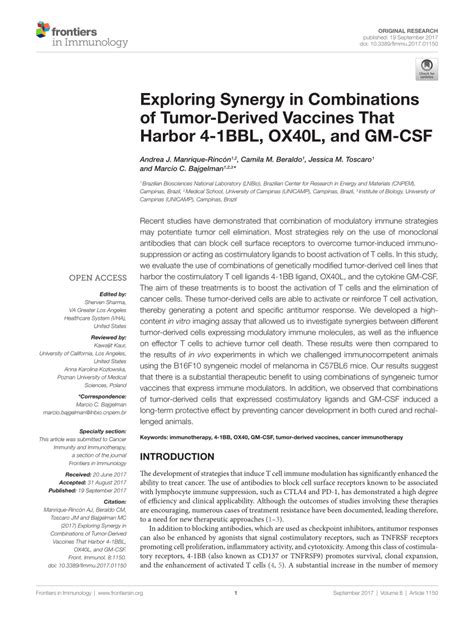 PDF Exploring Synergy In Combinations Of Tumor Derived Vaccines That