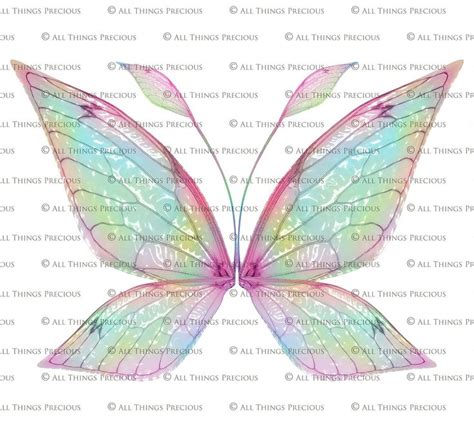 Png Fairy Wing Overlays Set Overlays Insect Wings Wings