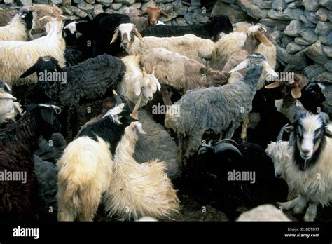 silk road, china, xinjiang, kashgar Stock Photo - Alamy