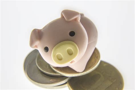 Cute Animals With Money