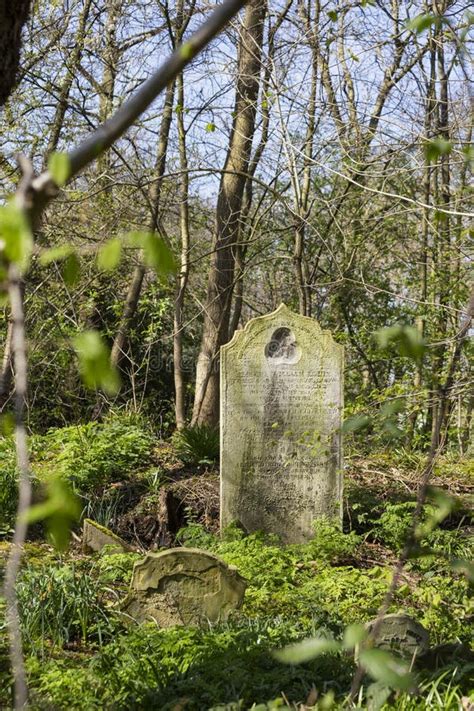 Tower Hamlets Cemetery Park In London Uk Editorial Stock Image Image