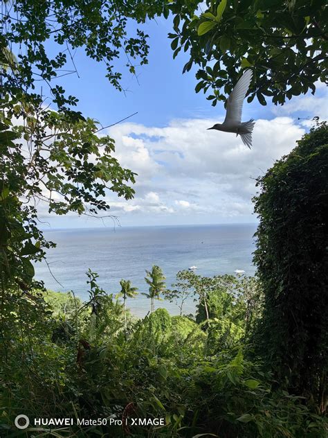 Isla Del Coco Un Paseo En Imágenes Por El Parque Nacional Más Lejano