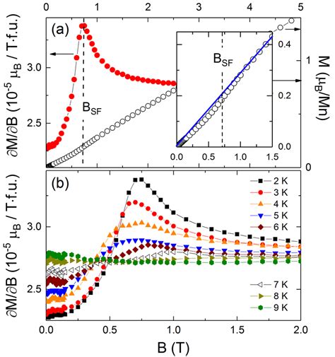 Magnetisation M And Magnetic Susceptibility M B Vs Magnetic Field At