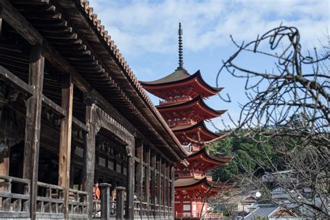 Shinbashira Tehnica Japoneza Veche De De Ani De Protejare A