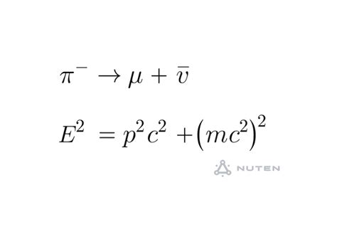 Pion Decay Find The Kinetic Energy Of The Muon And The Anti Neutrino