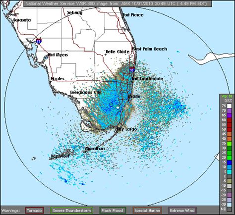 Bird Migration Over FL | Badbirdz Reloaded