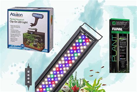 The 7 Best Planted Aquarium Lights Of 2024