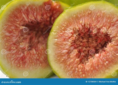 Fig Stock Photo Image Of Skin Close Arranged Flesh 12708504