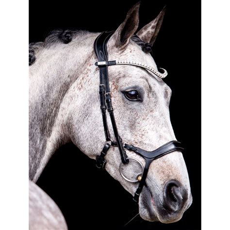 Ps Of Sweden Brown Pioneer Bridle Horses Bridle Equestrian