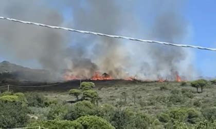 Nuovo Incendio Divampato Sulle Alture Tra Albenga E Alassio Telecity