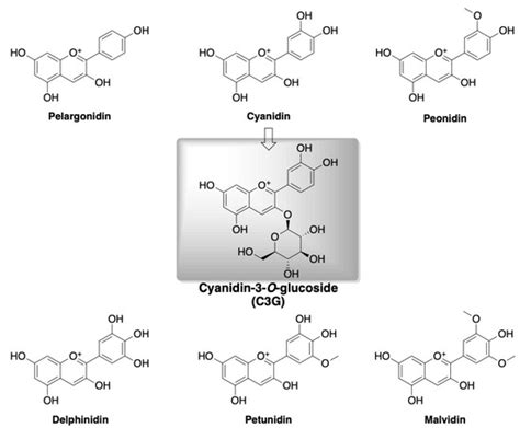 Cyanidin 3 O Glucoside As A Nutrigenomic Factor In Type 2 Diabetes And