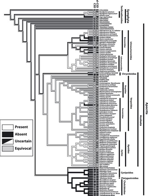 Ancestral State Reconstruction Analysis Of Hymenopteran Sex