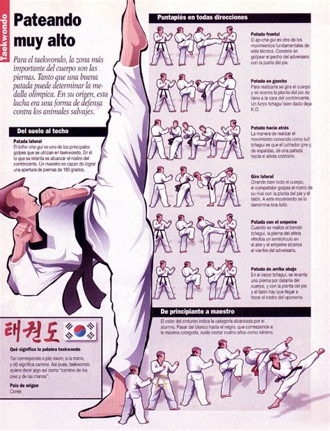 El Taekwondo En Infografia  783×1024 Técnicas De Artes Marciales