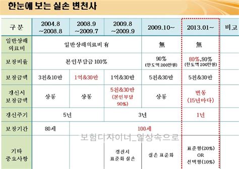 실손의료실비의료비 보험 개정내용 변천사2003년 이후~2013년까지 네이버 블로그