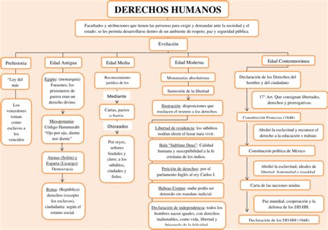 Mapas Conceptuales Derechos Humanos Descargar The Best Porn Website