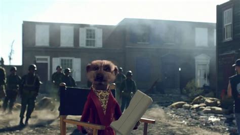 Compare the Meerkat What can I see with Meerkat Movies? advert UK 2018 video Compare The Meerkat ...