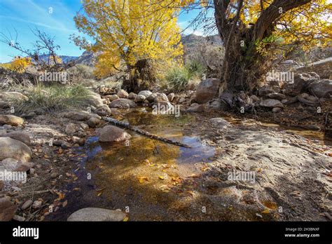 Hiking in Catalina State Park, Arizona.x Stock Photo - Alamy