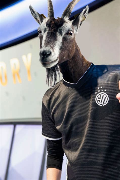 TSM FTX On Twitter We Can Finally Post This Picture Of Bjergsen