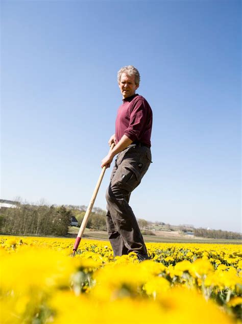 Regopur Herrens Mark L Wenzahn Extrakt Bio Trautwein Naturwaren