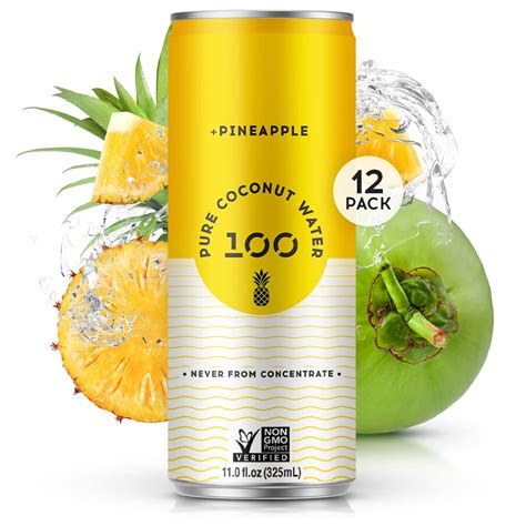 Amazon.com : 100 Coconuts Pineapple Pure Coconut-100% Pure Coconut ...