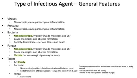 Infectious Dz Affecting The Nervous System Flashcards Quizlet