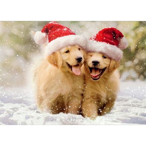 Two Golden Puppies Running in Snow Cute Dogs Christmas Card ...