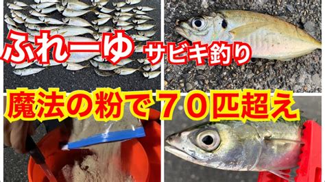 【ふれーゆ】トリックサビキでアジ釣りand釣れるエサの作り方 Youtube