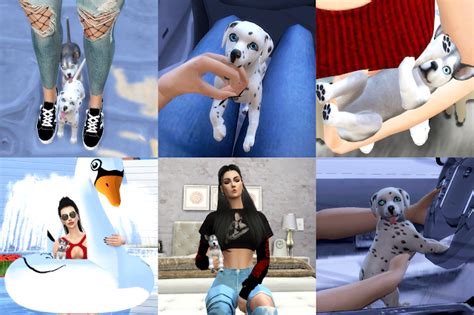 Sims 4 Dog Poses