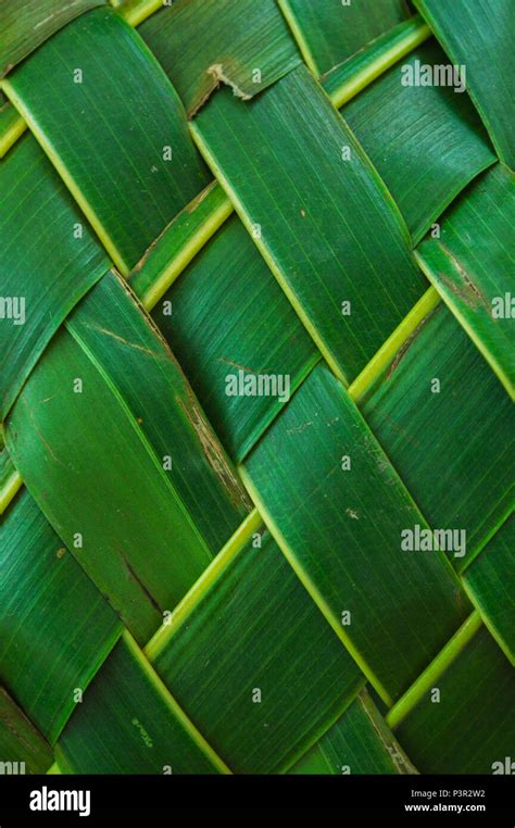 Weaving the coconut leaf hi-res stock photography and images - Alamy