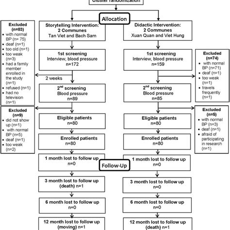 Consort Flow Diagram For The Feasibility Cluster Randomized Controlled