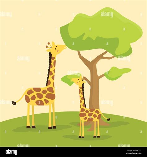 Giraffe Mother Teaching Baby Giraffe Eating Leaf On Tree Vector