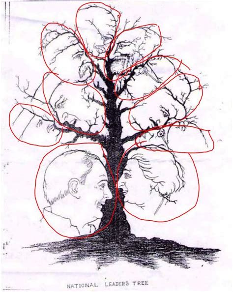 How Many Faces Can You See In This Tree