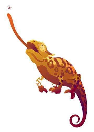 Premium Vector Chameleon Lizard Reptile With Curved Tail And