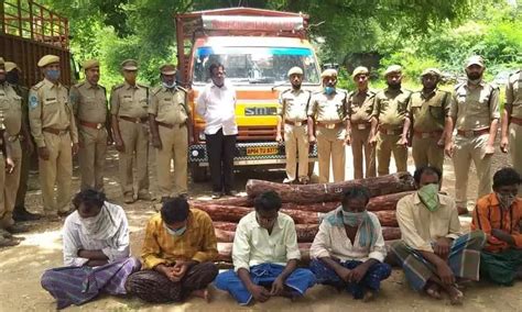 Kadapa Six Smugglers Held Red Sanders Worth Rs Lakh Seized