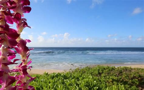 Visit Hawaii In March: Is March A Good Time To Go To Hawaii? (2024 ...