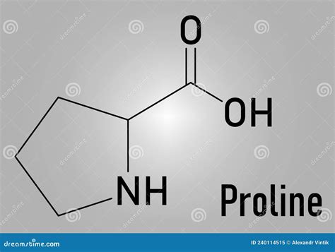 Proline Or L Proline Pro Amino Acid Molecule Skeletal Formula Stock