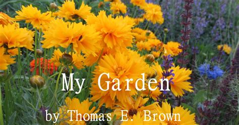 See The Beauty In The Ordinary A Poem For The Garden