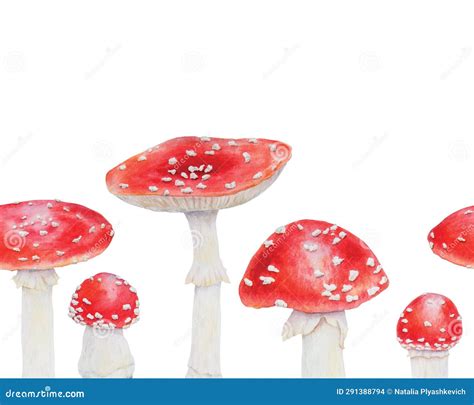 Red Fly Agaric Watercolor Hand Drawn Seamless Border Realistic