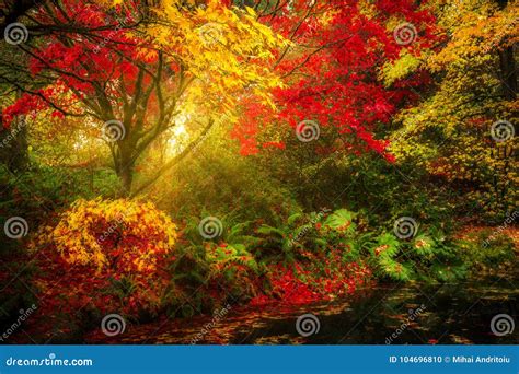 Dreamy Landscape Stock Photos - Download 34,177 Royalty Free Photos