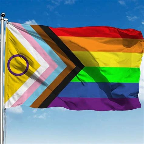 Nova Bandeira LGBTQIA é apresentada entenda mudanças