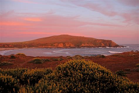 photo bodega bay california  image  pixabay