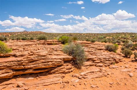 Stony Yellow Desert Of Arizona Erosion Of Sandstone Southwestern