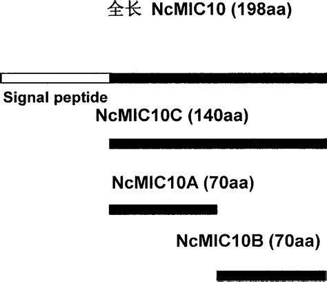 Toxoplasma Circulating Antigen Double Antibody Sandwich Elisa Enzyme