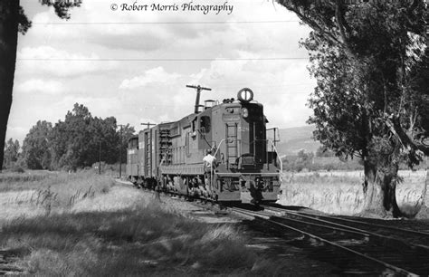 NWP-SD UNITS