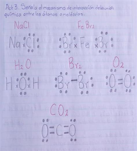 Actividad 3 Señala El Mecanismo De Interacción De La Unión Química