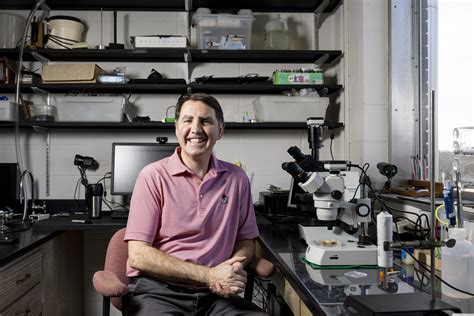 Joro spiders aren’t scary. They’re shy.