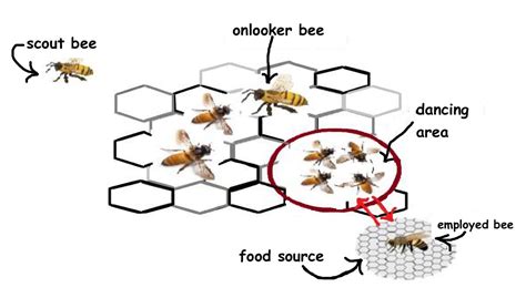 Artificial Bee Colony | Baeldung on Computer Science